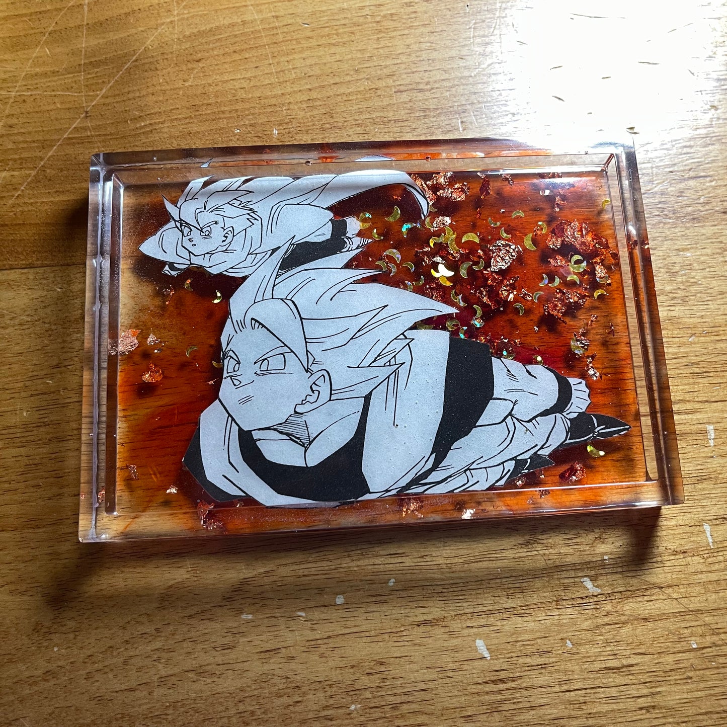 In Flight Manga Resin Tray
